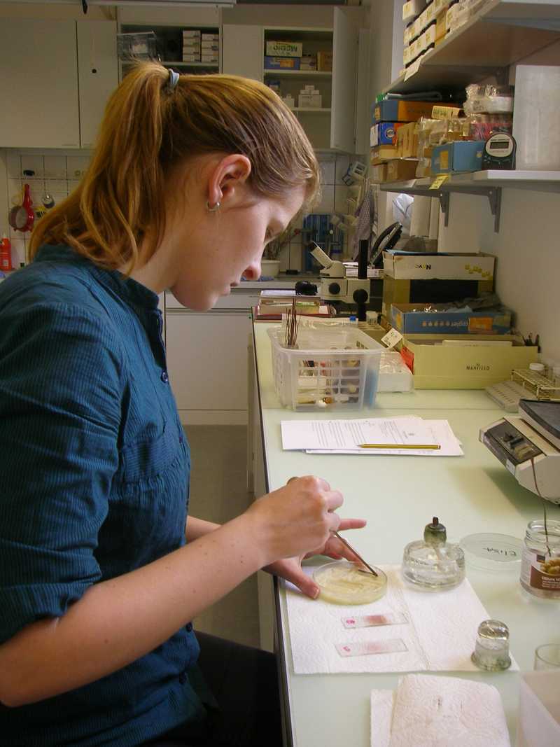 Příprava trvalých preparátů, Institute of Plant Sciences, University of Bern, Švýcarsko (2010).