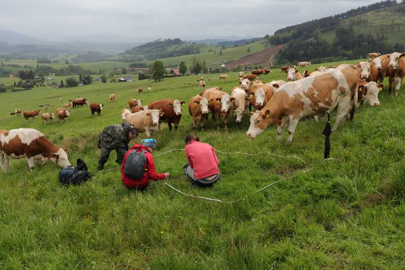 Mapování vegetace (vítězná fotografie v soutěži Věda fotogenická 2020).