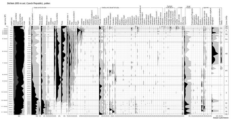 Výsledek pylové analýzy - pylový diagram. Na svislé ose se uvádí hloubka sedimentu nebo časová osa, na vodorovné ose zastoupení pylových taxonů.