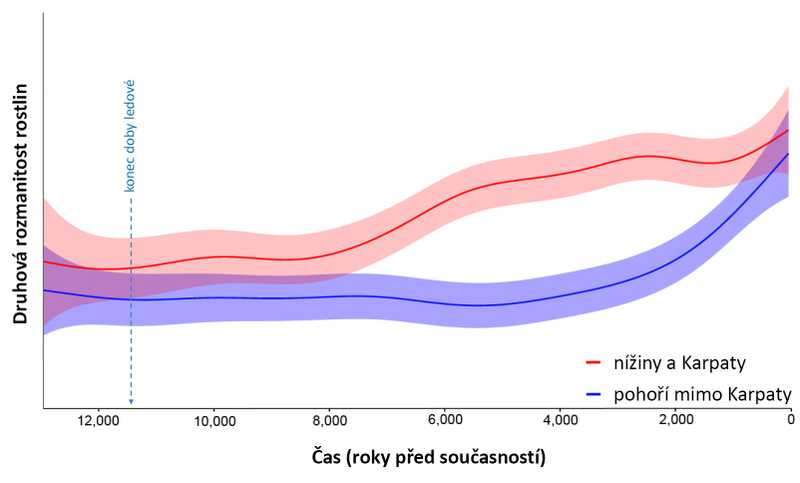 Holocénní druhová bohatost v čase: červená křivka: nížiny a Karpaty, modrá křivka: pohoří kromě Karpat.