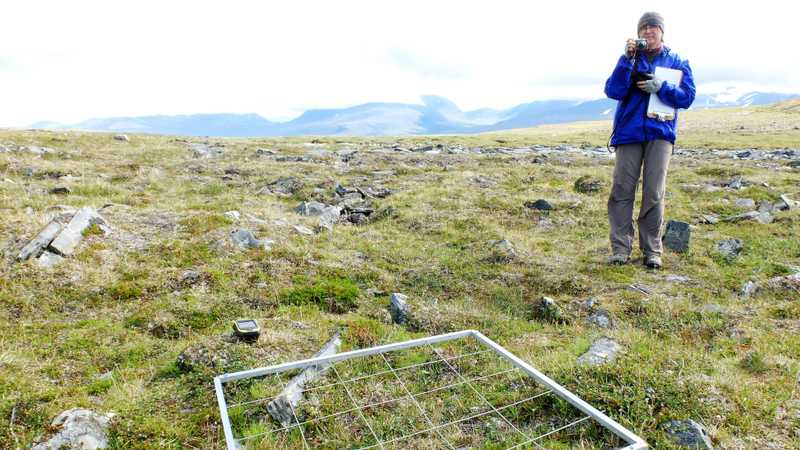 Mapování vegetace v okolí v okolí pylové pasti v pohoří Nuolja, Národní park Abisko, Švédsko (2014).