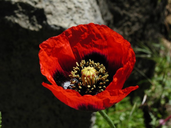 12. kvtna 2001 13:34:11 