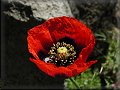 12. kvtna 2001 13:34:11 