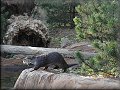 9. listopadu 2003 13:06:40 