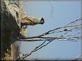 9. listopadu 2003 13:31:12 