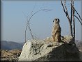 9. listopadu 2003 13:31:25 