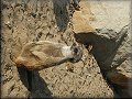 9. listopadu 2003 13:33:53 