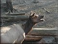 9. listopadu 2003 13:55:22 