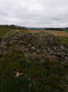 Žulové výchozy, které tvoří ostrovní ekosystém u Třebíče jsou vnořené v zemědělské krajině a porostlé suchomilnými trávníky vyznačující se mělkou a kamenitou půdou, vysycháním a velkým střídáním teplot. Foto G. Ottaviani