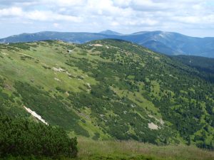 Členitý reliéf vytváří podmínky pro pestrou škálu úzce specializovaných horských společenstev (Krkonoše, pohled z Kotle směrem na Sněžku). Foto M. Vítková