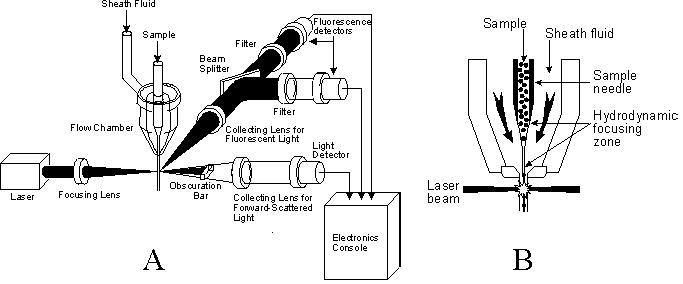 Composition of flow cytometer
