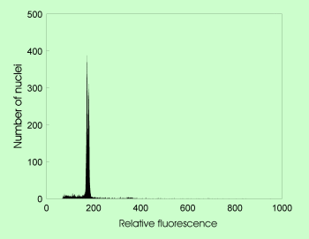 Galeobdolon luteum and G. flavidum