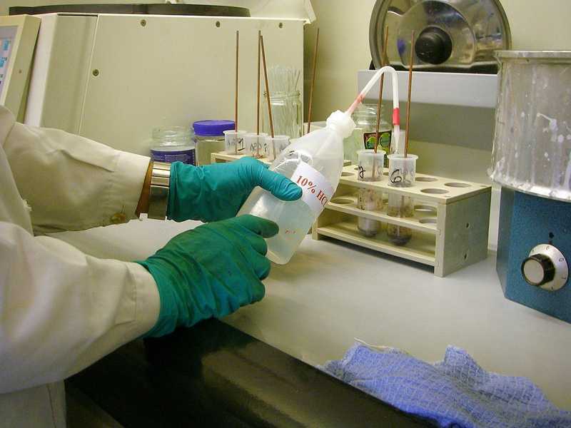 Laboratorní příprava vzorků pro pylovou analýzu.