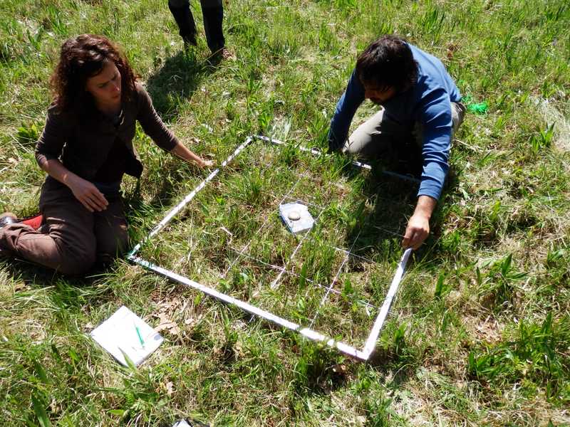 Vegetační mapování v místě odběru mechových polštářů pro analýzu recentního pylu (2015).