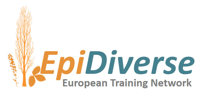 Epidiverse (2018-2021)